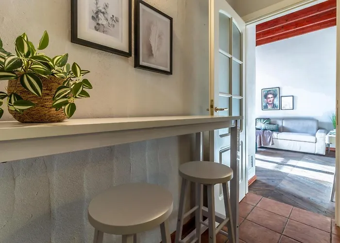 Design Sassari-jungle Queen * Sassari