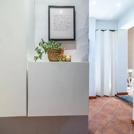 Apartment Design Sassari-jungle Queen