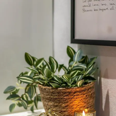 Design Sassari-jungle Queen *
